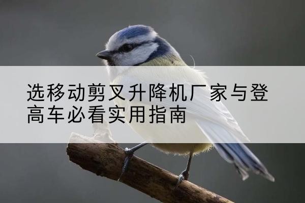 金湖电动升降机厂家-选移动剪叉升降机厂家与登高车必看实用指南