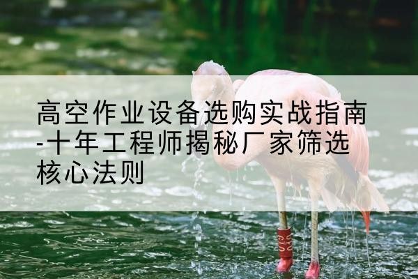 金湖剪叉式升降机厂家-高空作业设备选购实战指南-十年工程师揭秘厂家筛选核心法则