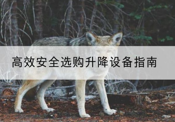 金湖升降货梯厂家推荐-*安全选购升降设备指南