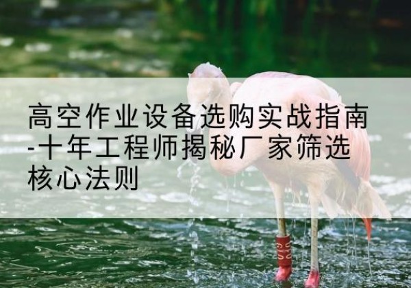 金湖剪叉式升降机厂家-高空作业设备选购实战指南-十年工程师揭秘厂家筛选核心法则