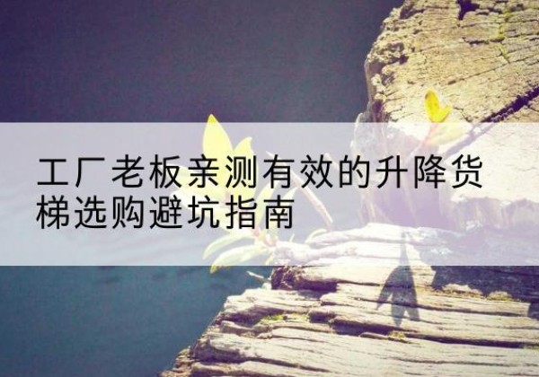 金湖升降货梯怎么选-工厂老板亲测有效的升降货梯选购避坑指南